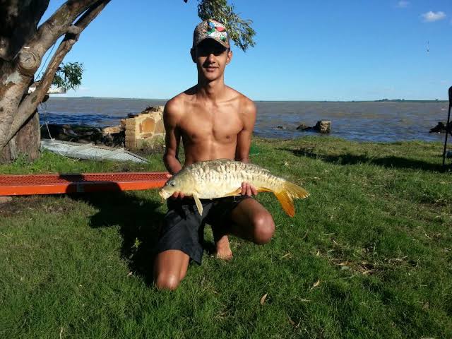 The wetland and shoreline at Vaal Rawdah